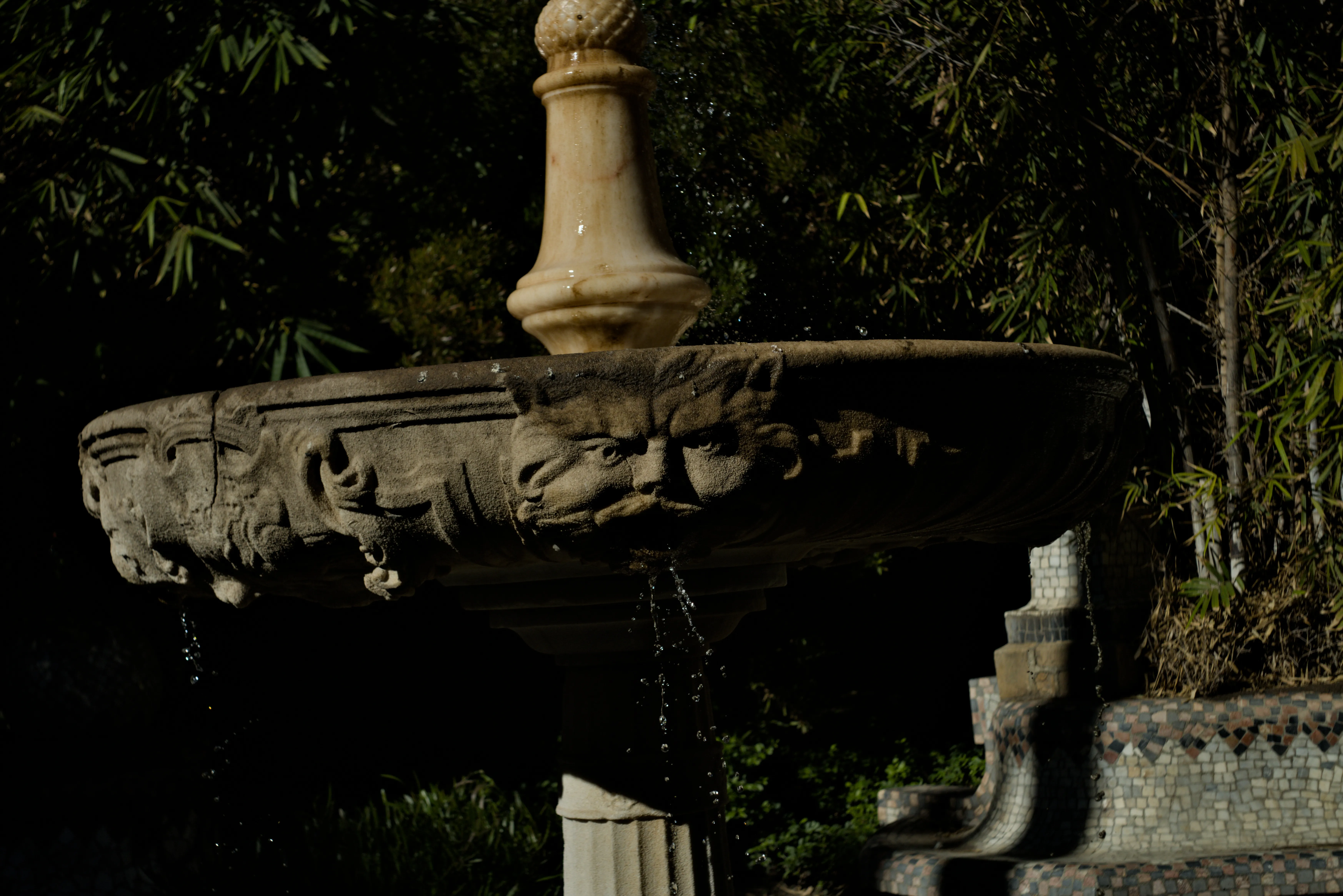 Meyer-Optik Görlitz Primagon 35mm f4.5 (M42) - _I4A3048.webp